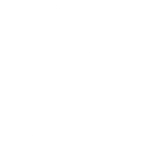 icono4
