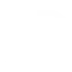 icono7