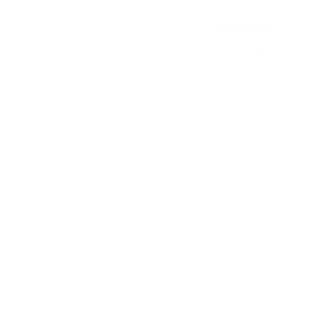 icono8